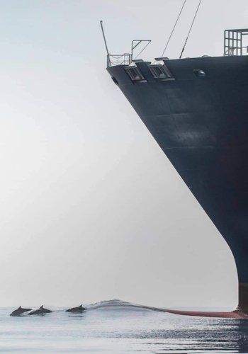 crew welfare and management