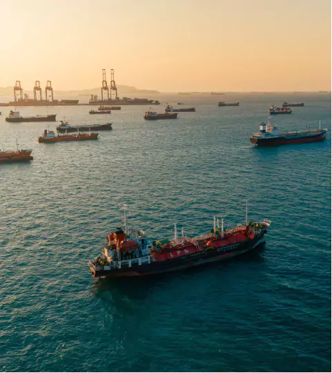 customized shipping solutions